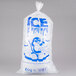 A clear plastic ice bag with an ice print of a penguin.