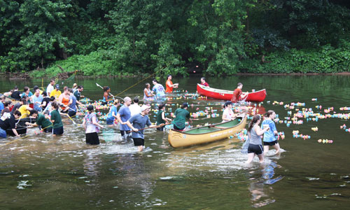 A Mad Dash to Catch the Ducks