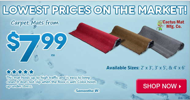 Cactus Mats from $7.99!