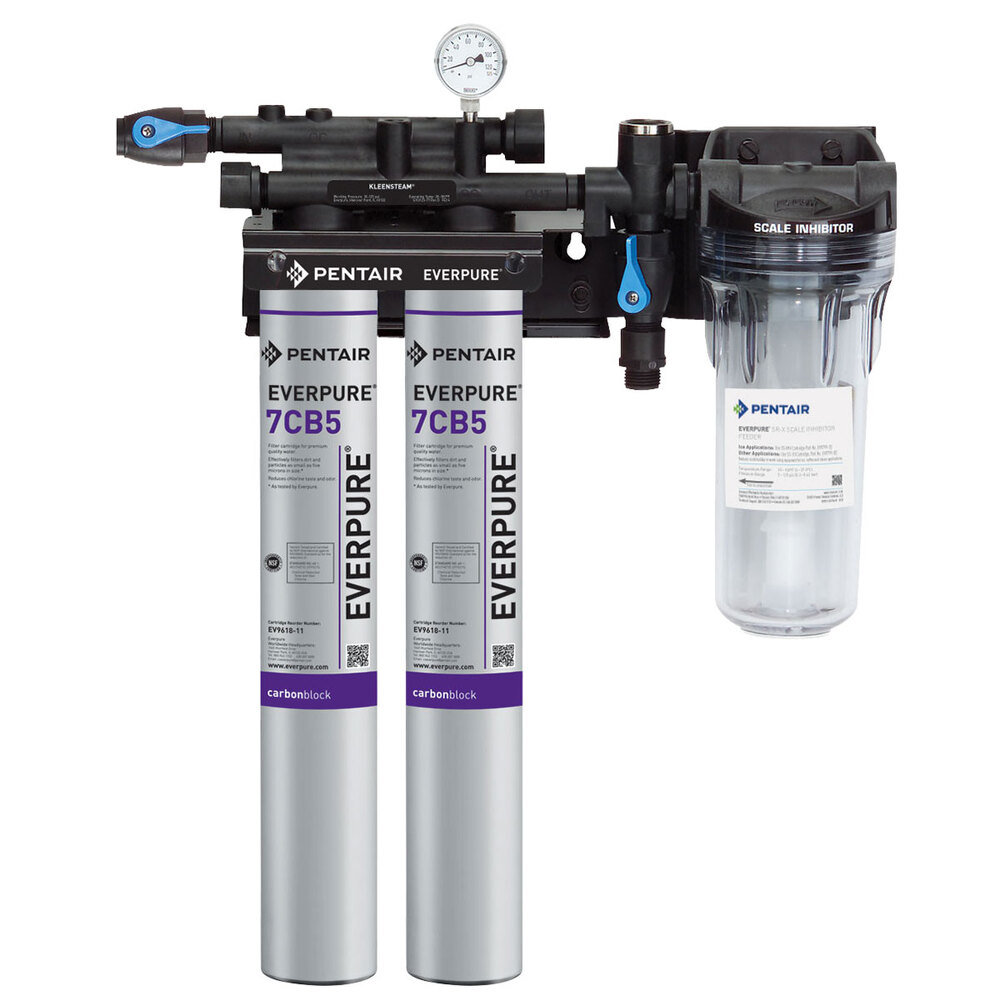 Everpure EV979722 Kleensteam II Twin Water Filtration System 5