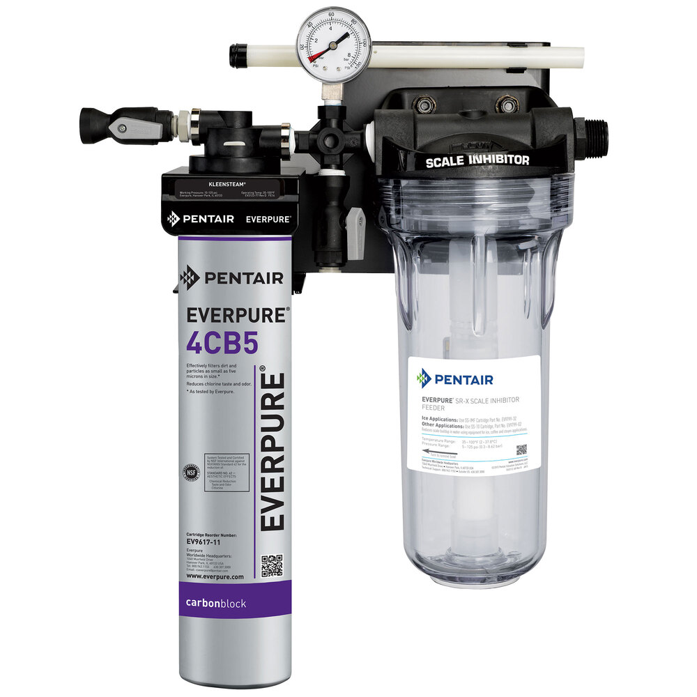 Everpure EV979750 Kleensteam CT Water Filtration System 5 Micron and