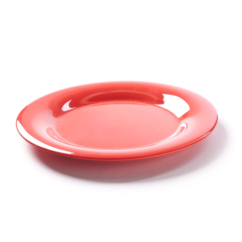 Orange Melamine Plates 10 1/2" Wide Rim Plates (12/Pack)