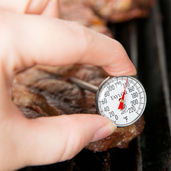 A person using a Taylor pocket probe thermometer on a grill.
