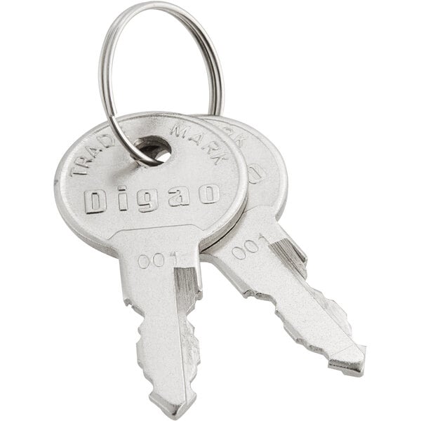 Two Avantco replacement keys on a key chain.