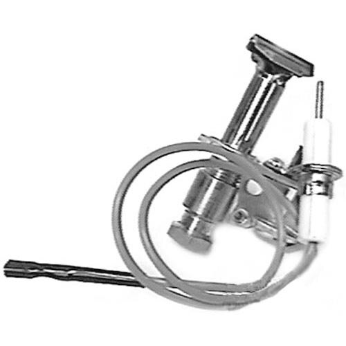 An All Points natural gas pilot burner assembly with an igniter.