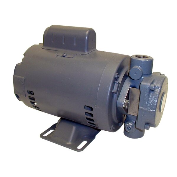An All Points electric motor for a filter pump on a white background.