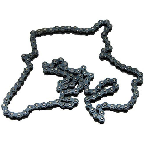 A close-up of an All Points drive chain with 56 links.