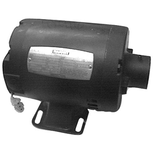 A black All Points fryer filter pump motor with a silver label.