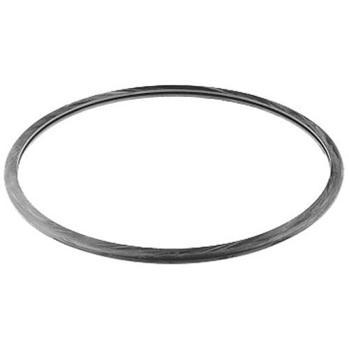 A black oval door gasket with a white background.