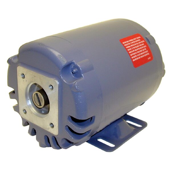 An All Points filter pump motor with a blue cover.