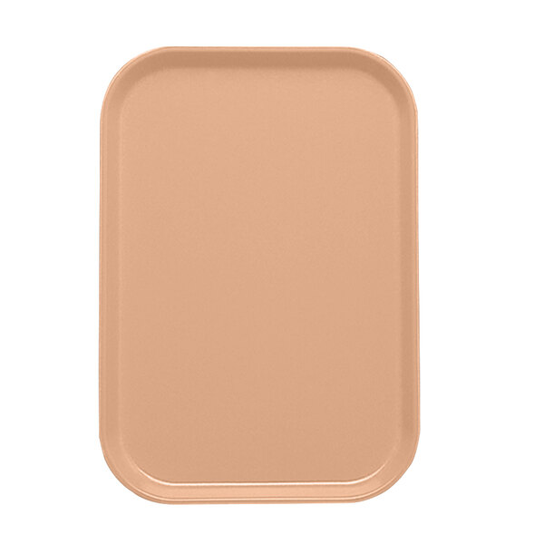 A rectangular tray with a dark peach insert.