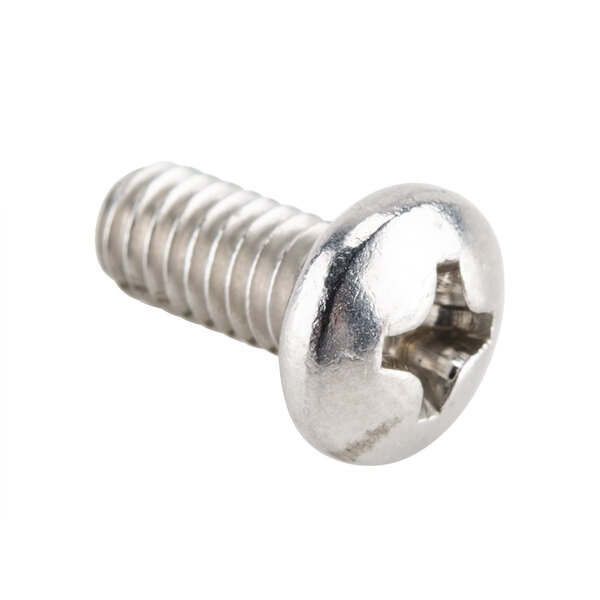 A close-up of a stainless steel screw with a silver finish.
