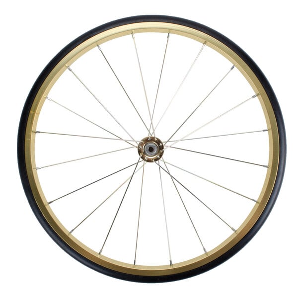 A white bicycle wheel with a black rim and black spokes.
