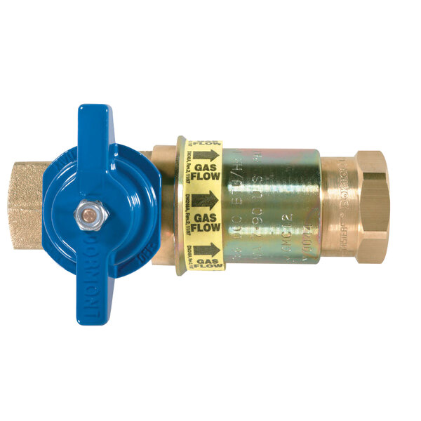 A close-up of a blue and brass Dormont gas flow valve.