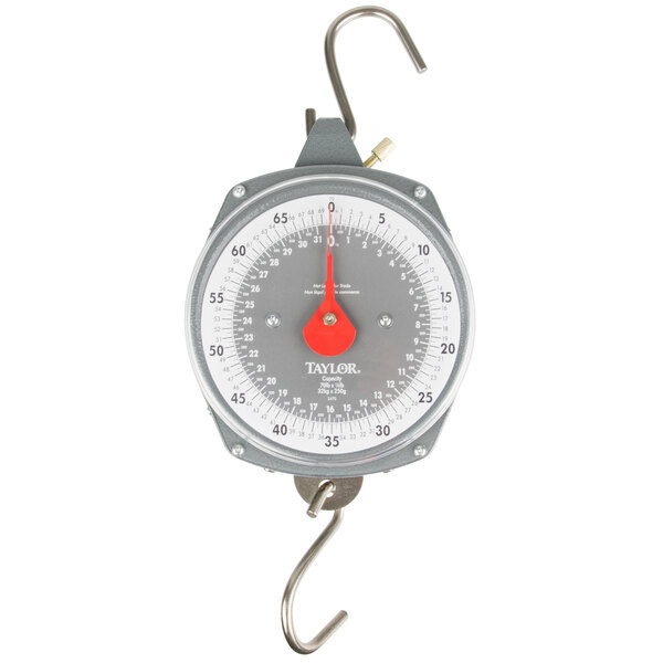 A Taylor industrial hanging utility scale with a metal hook.