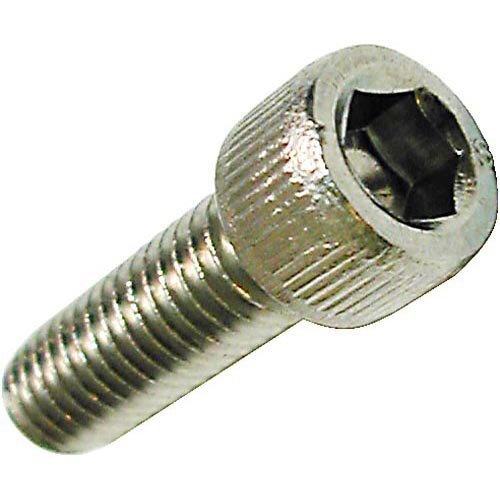 A close-up of a Waring Torx head screw.