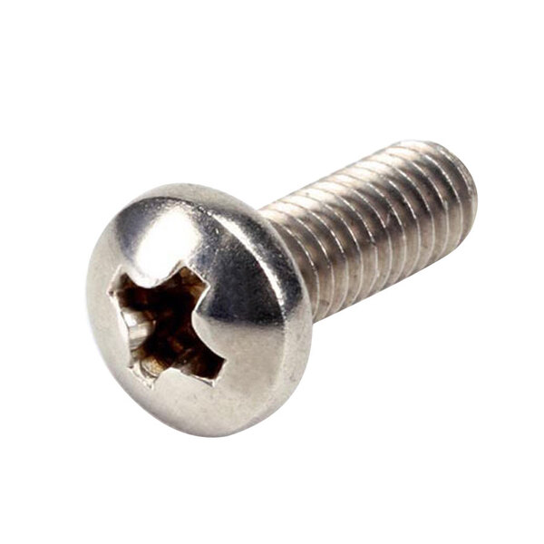 A close-up of a metal screw with a metal head.