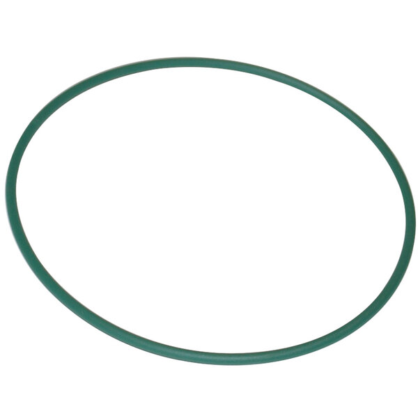 A green rubber fan belt on a white background.