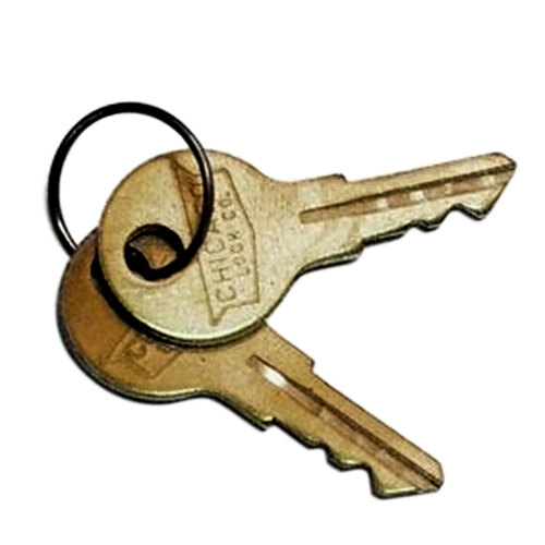 Replacement keys for True merchandisers and refrigerators on a key ring.