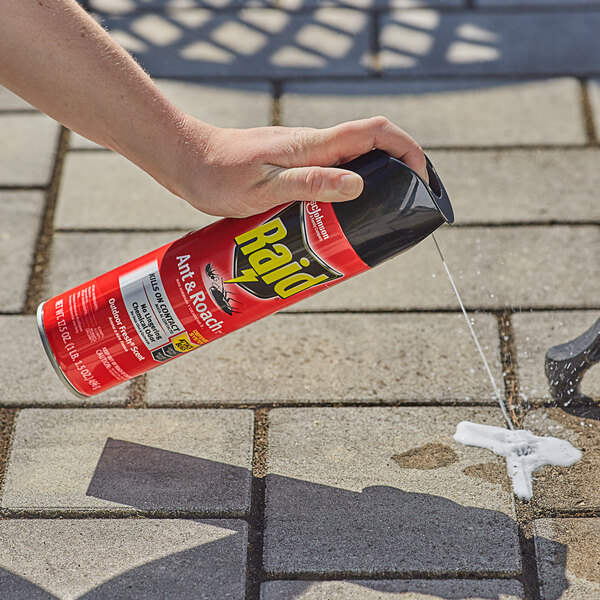 A hand holding a red SC Johnson Raid aerosol can spraying white substance on a sidewalk.