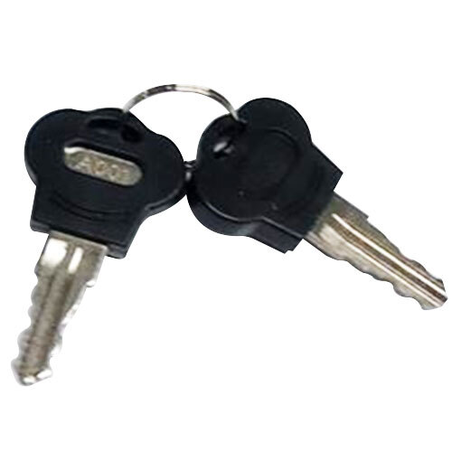 A pair of True replacement keys on a ring.