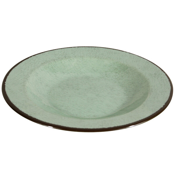 A green melamine bowl with a brown rim.