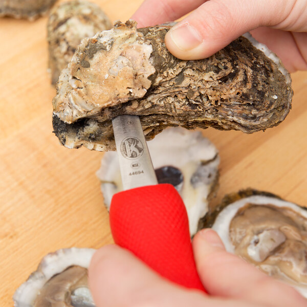 A person using a Victorinox Boston style oyster knife to open an oyster shell.