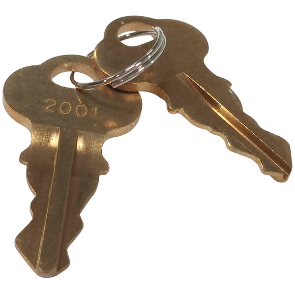 A close-up of two Turbo Air replacement keys with the number 2000 on them.