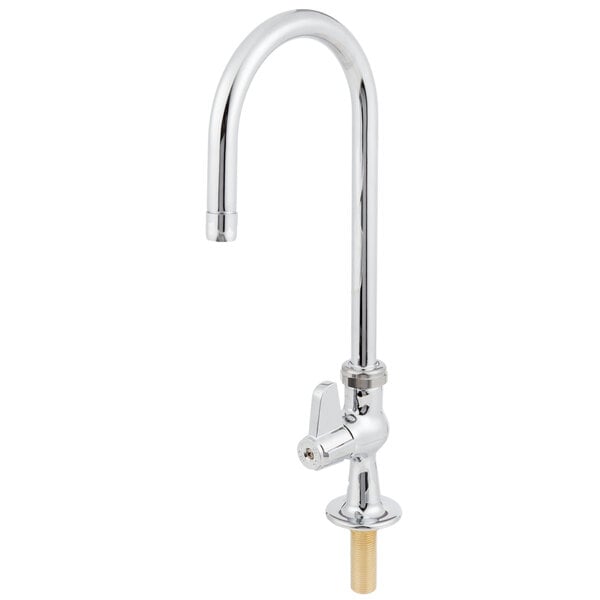A chrome Equip by T&S deck-mounted faucet with a brass lever handle.