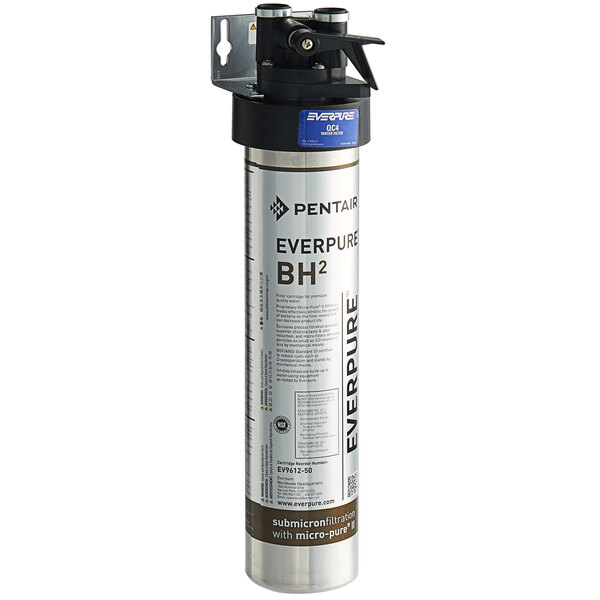A silver and black Everpure water filtration system with a black cap.