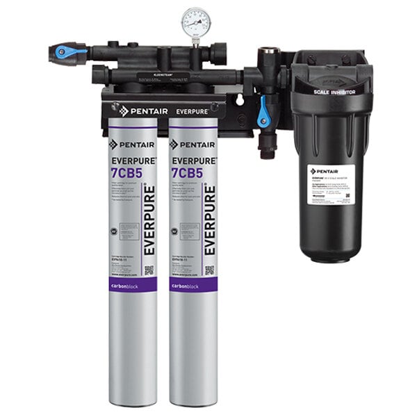 The Everpure Kleensteam II Twin Water Filtration System with two silver containers and a gauge.