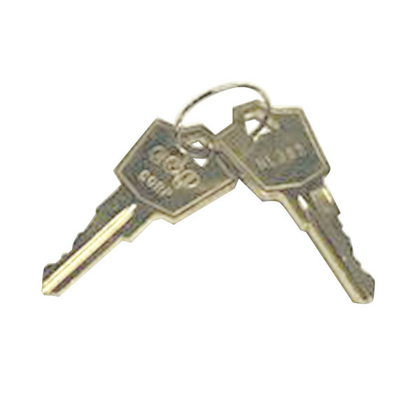 A close-up of a pair of True keys on a ring.