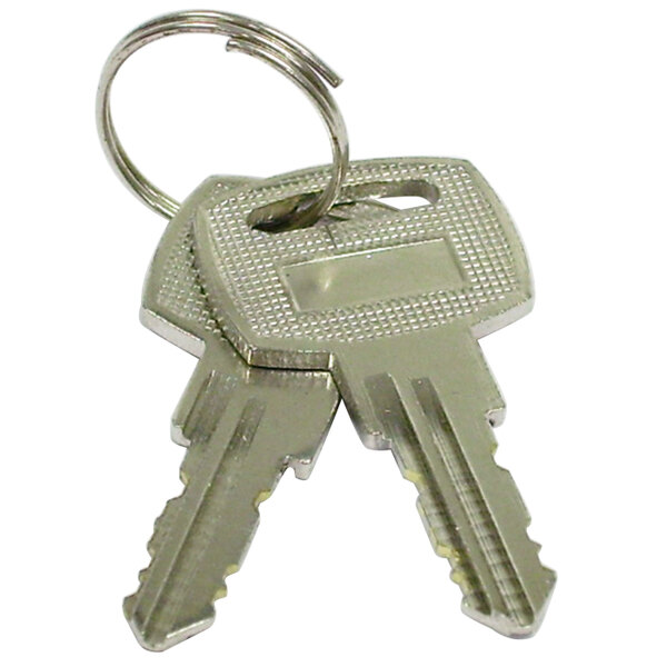A close-up of a Turbo Air key set with two keys on a key ring.