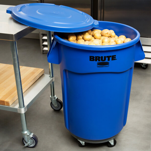 A blue Rubbermaid BRUTE trash can filled with potatoes.