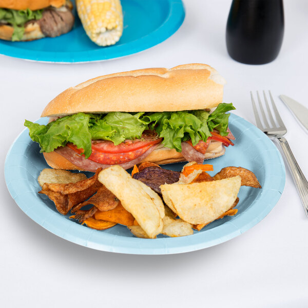 A sandwich and potato chips on a Creative Converting pastel blue paper plate.