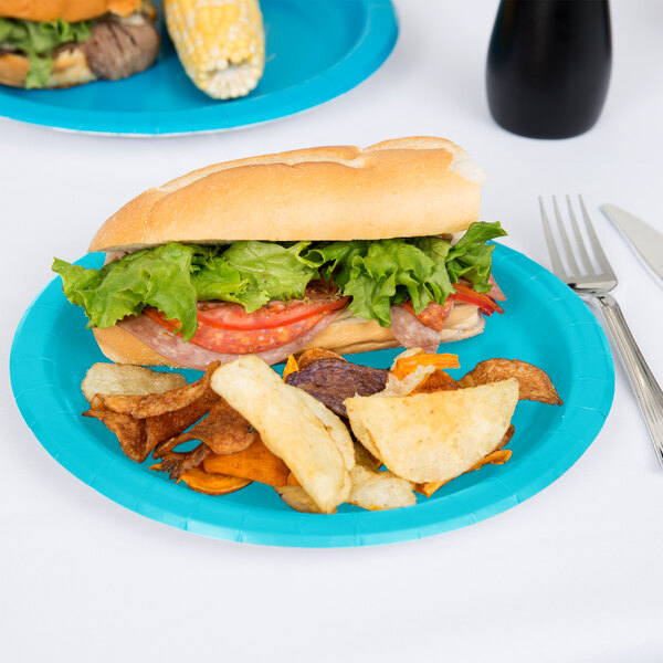 A sandwich and potato chips on a Bermuda blue paper plate.