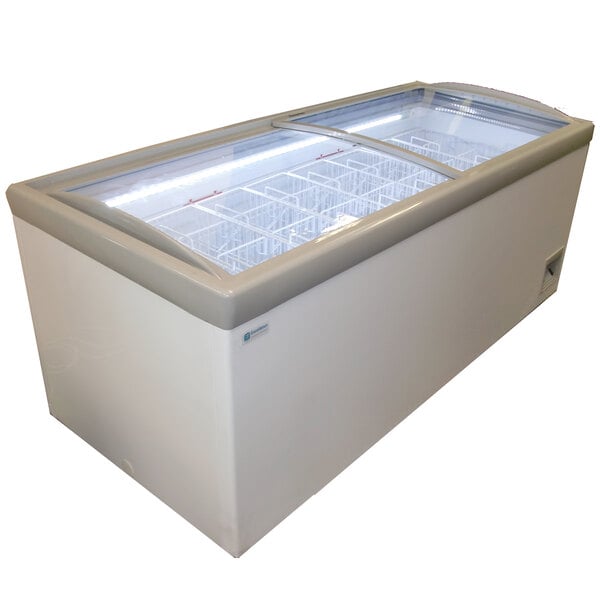A white Excellence Jumbo Display Freezer with a glass top.