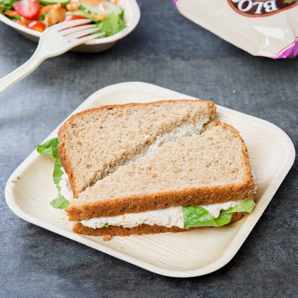 A sandwich with a white filling on an EcoChoice palm leaf plate with a salad and a bag of chips.