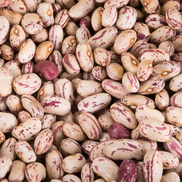A pile of dried cranberry beans.