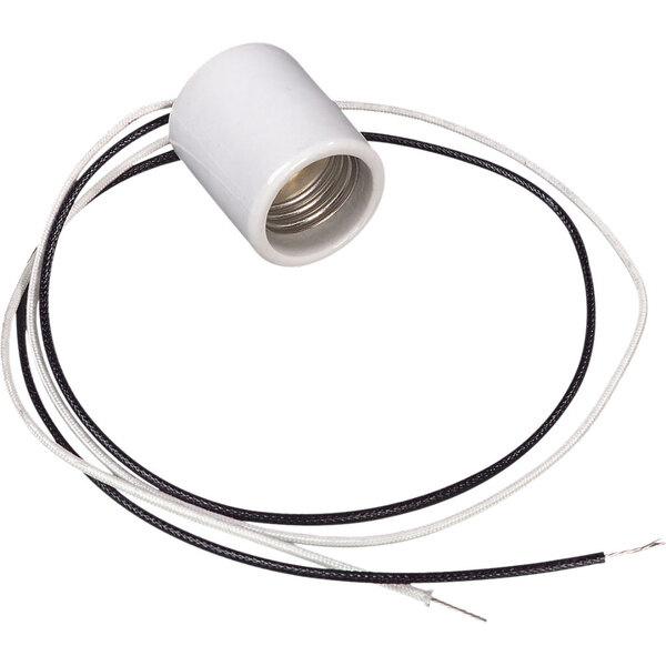 A white light bulb with black and white wires.