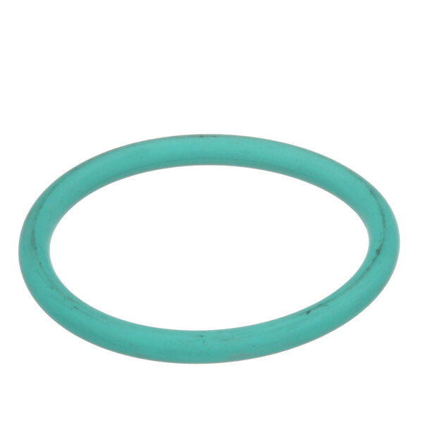 A teal rubber O-ring with a blue circle on it.