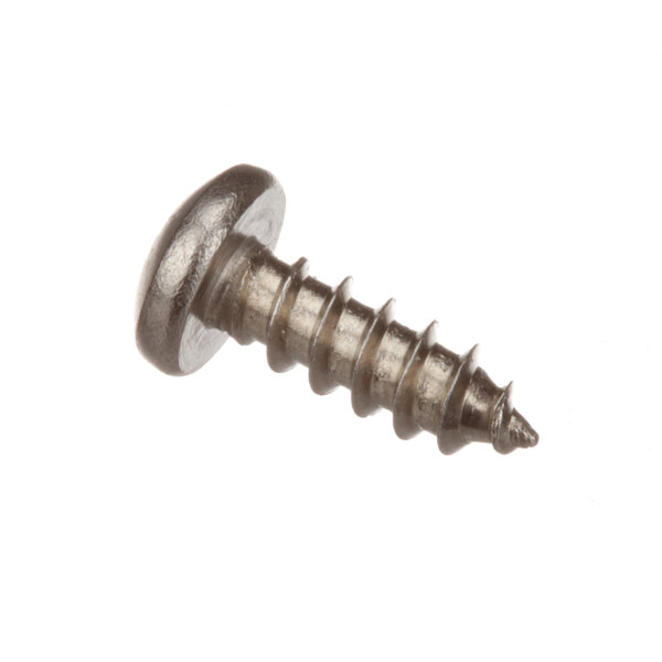 A close-up of a Champion screw.