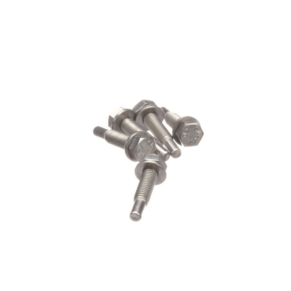 A pack of five Rational stainless steel hex screws.