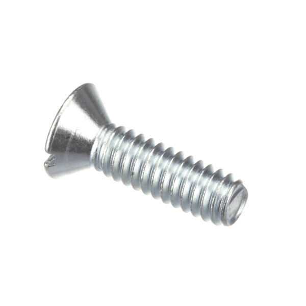 A close-up of a Globe silver screw.