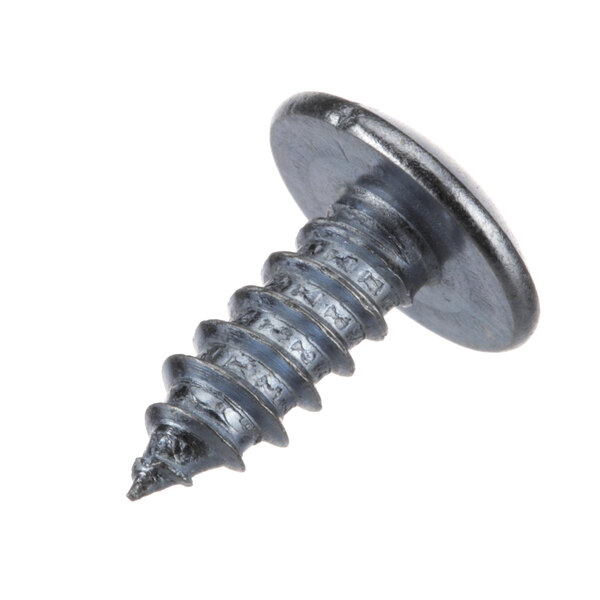 A close-up of a Frymaster #10-1/2 metal screw with a philips head.