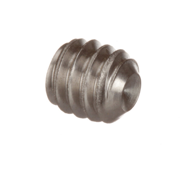 A close-up of a Champion stainless steel screw.