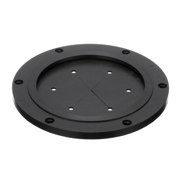 A black circular InSinkErator baffle gasket with holes.