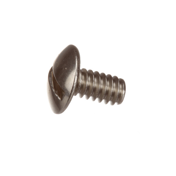 A close-up of a Berkel screw with a metal head.
