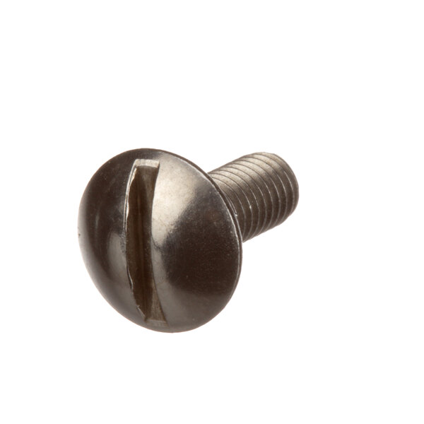 A close-up of a Champion screw with a metal finish.