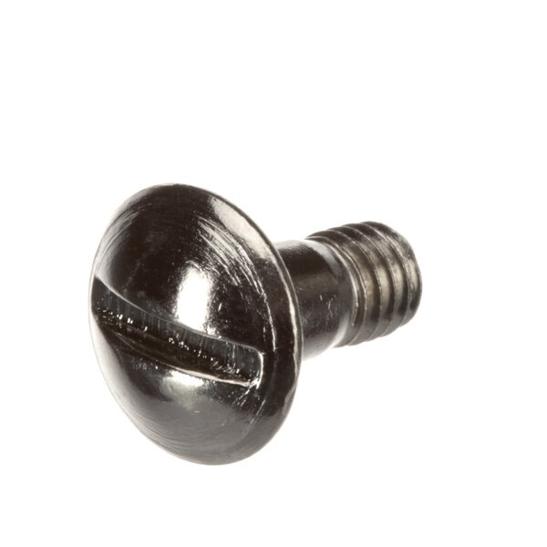 A close-up of a Frymaster screw with a metal cap.